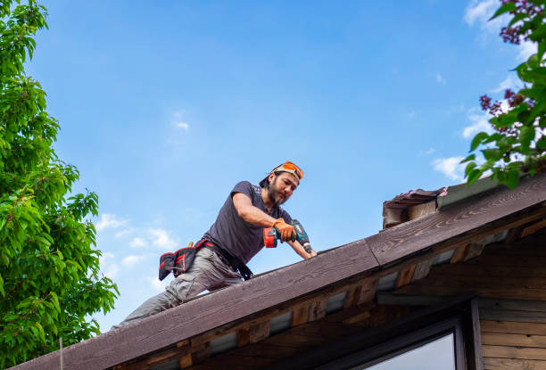 Best Roof Insulation Installation  in Safety Harbor, FL